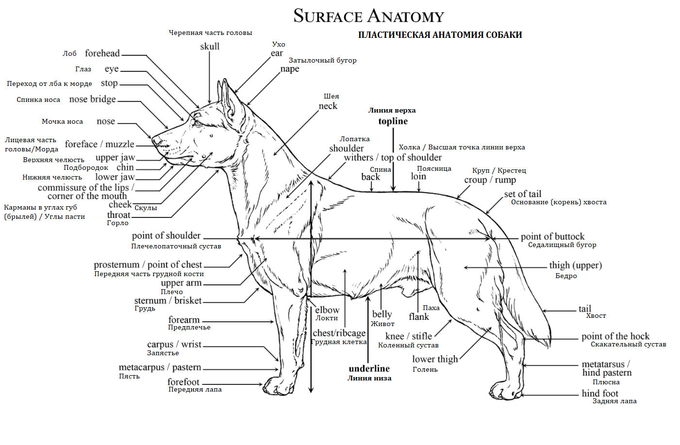 Изображение выглядит как текст, диаграмма, План, схематичный

Автоматически созданное описание